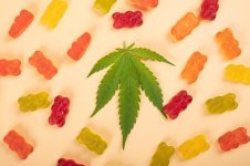 20231003095849_[fpdl.in]_cannabis-jelly-candies-marijuana-multicolored-sweets-drugs-green-leaf...jpg